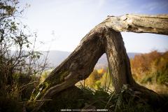 Bieszczady Mountains 10