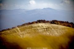 Bieszczady Mountains 11