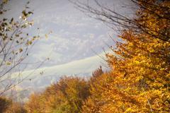 Bieszczady Mountains 8