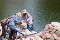 Cambodia