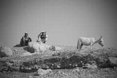 Egypt / shepherds near the valley of the kings