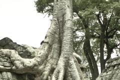 prayers in stone 3