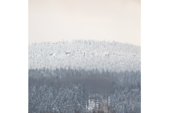 Stolowe Mountains - winter