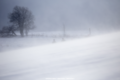 Winter Haltmarathon in Stolowe Mountains 1