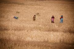 Working women / Tunisia